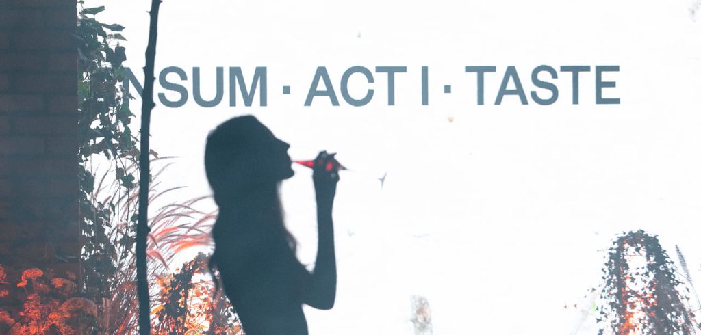 Act I: TASTE – building a 5D sensory garden